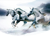 省内排行前十，，，，，设计、施工实力排前